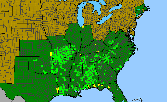The range of Coreopsis pubescens var. pubescens